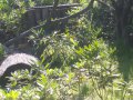 IMGP0778.JPG